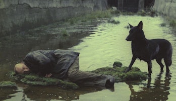 Сталкер лежит в воде рядом с собакой