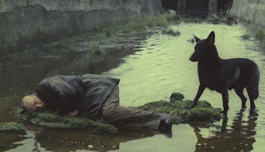 The Stalker laying down in the water next to a dog