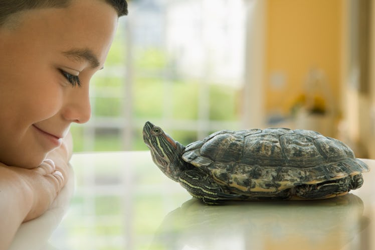 Boy smiling at pet turtle