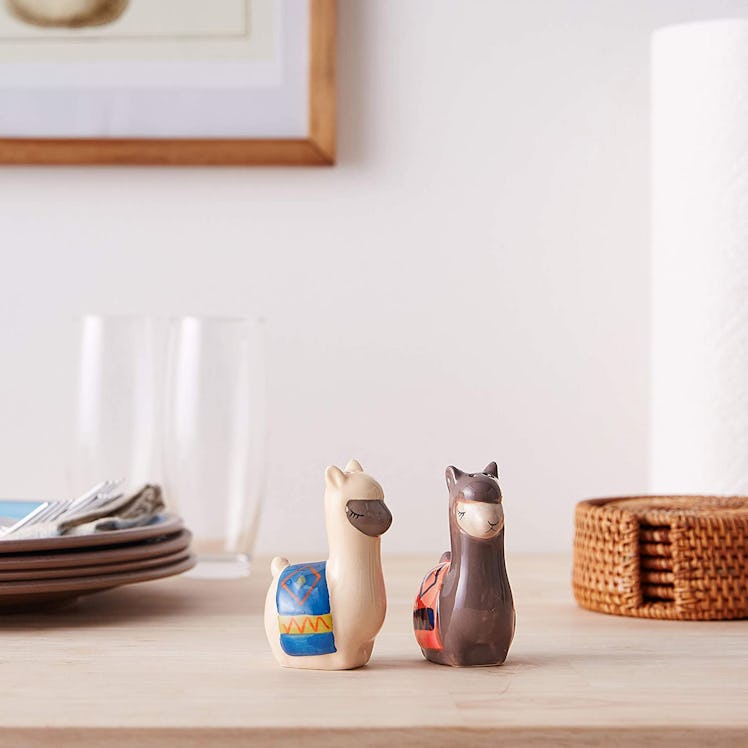 Boston Warehouse Salt & Pepper Set