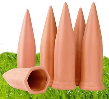 REMIAWY Plant Watering Devices (6-Pack)