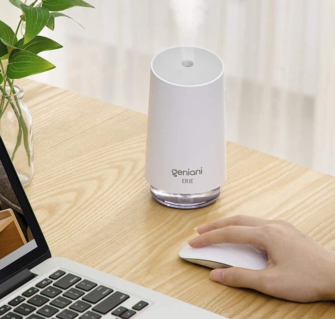 GENIANI Portable Small Cool-Mist Humidifier