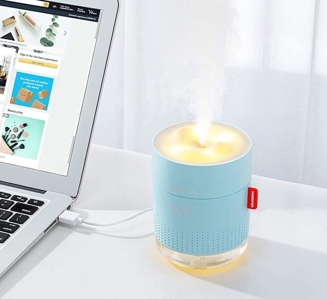 The 6 Best Mini Humidifiers