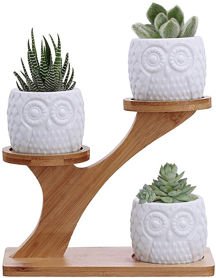 BESTTOYHOME Owl Succulent Pots with 3 Tier Bamboo Saucers