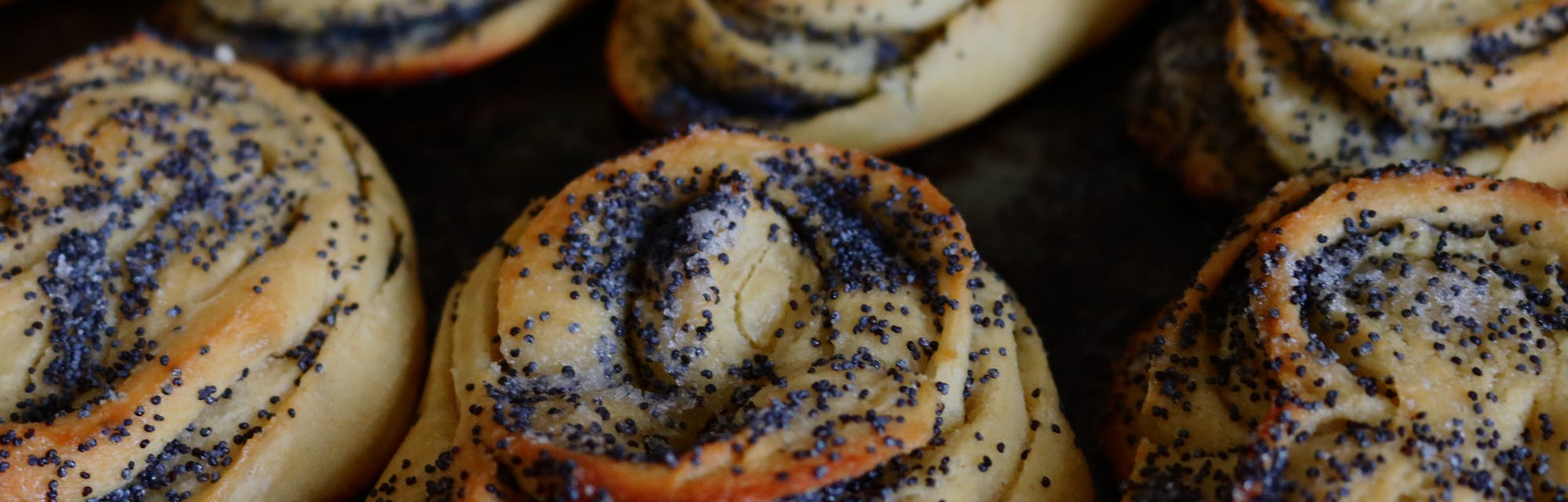 poppy seeds