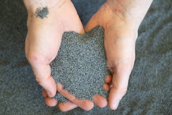 poppy seeds