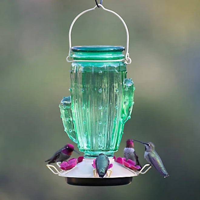 potted bird feeder