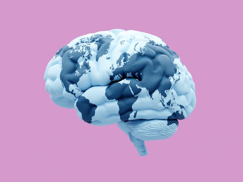 brain/map