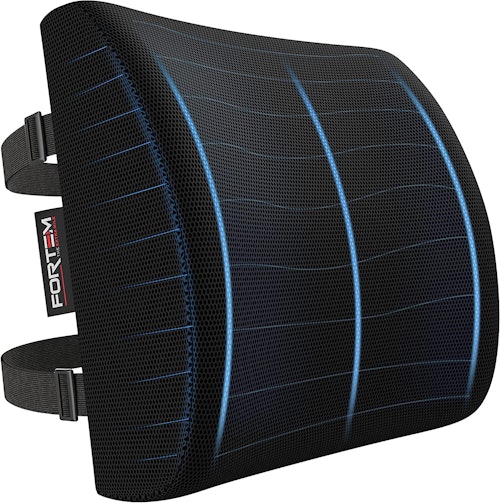 FORTEM Lumbar Support Pillow