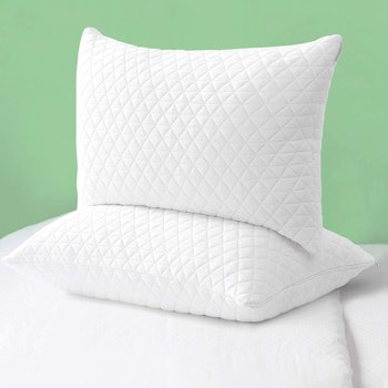 ASHOMELI Shredded Memory Foam Pillows (Set Of 2)