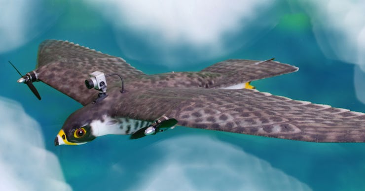 robot falcon