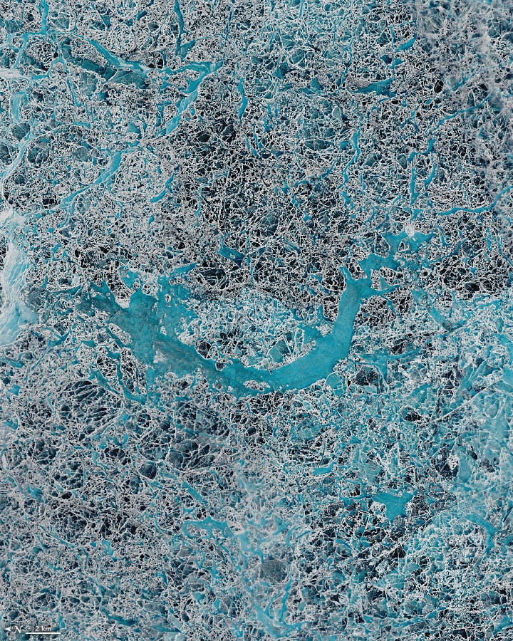 Landsat 8 image