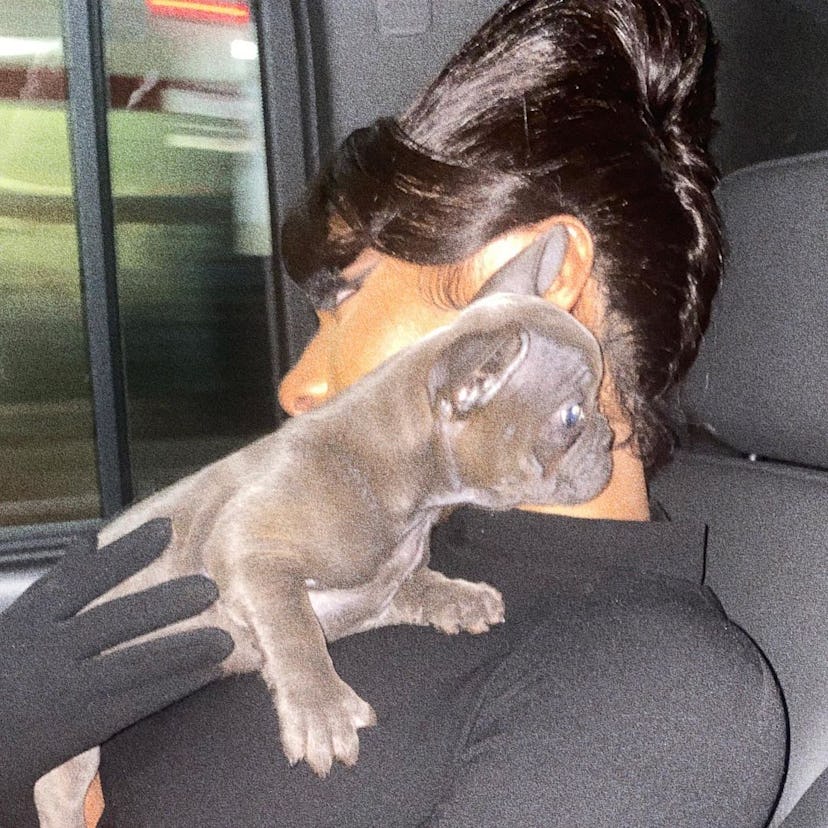 Megan Thee Stallion with new puppy