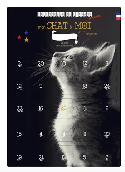 My cat and me advent calendar