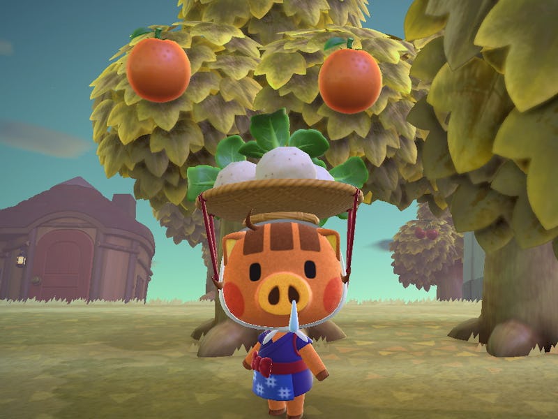 animal crossing new horizons daisy mae