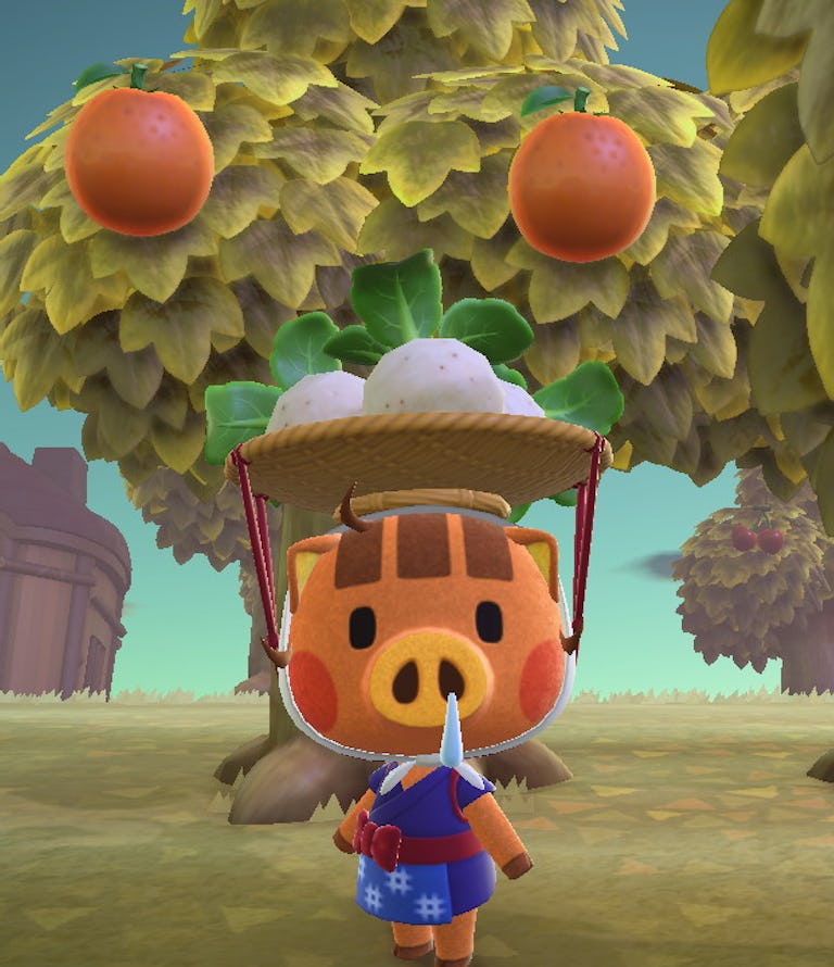 'Animal Crossing' turnip recipes How to cook 4 new items with Daisy Mae