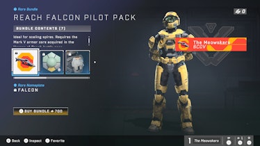 Halo Infinite Reach Falcon Pilot Pack bundle