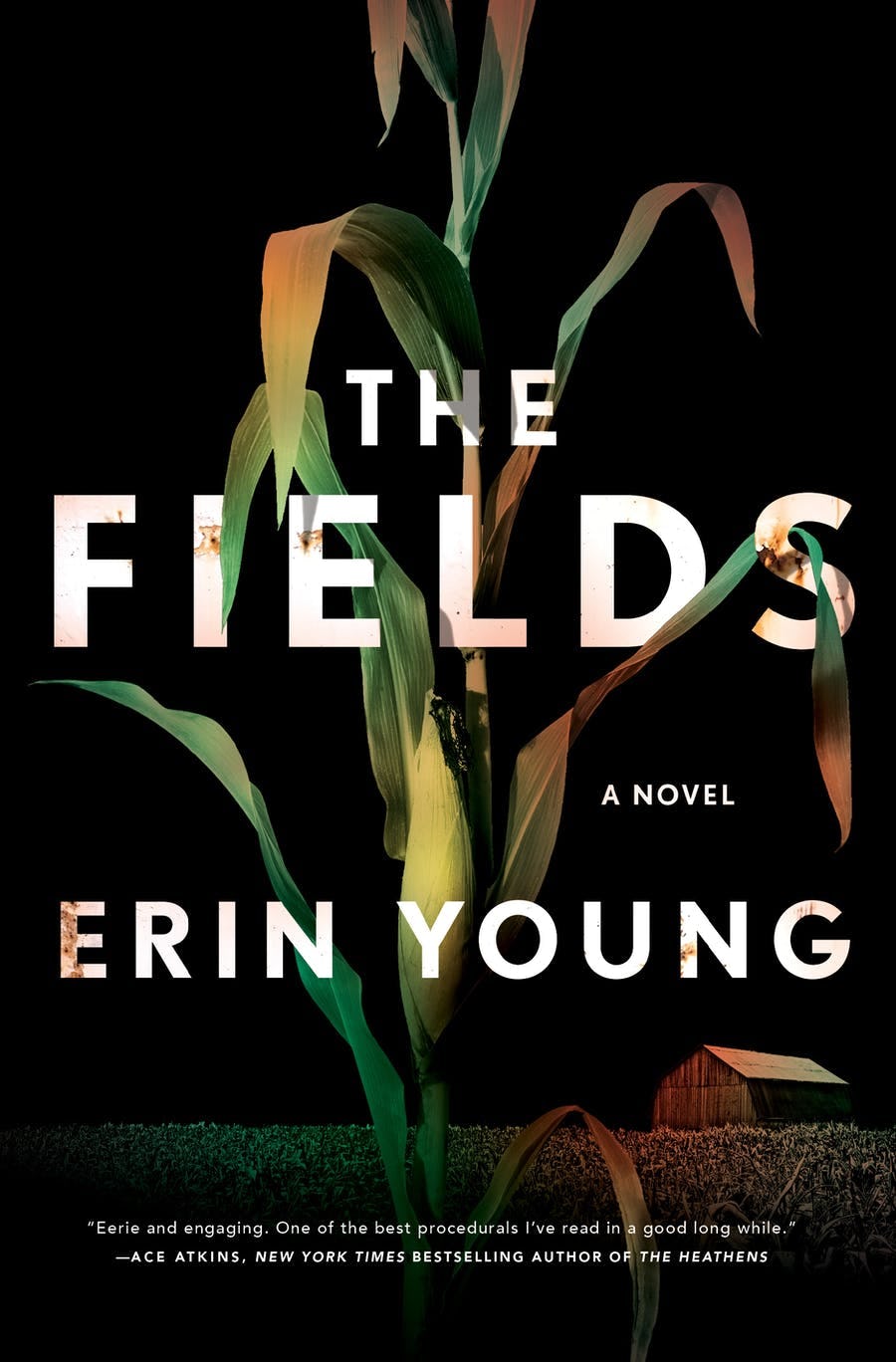 &lsquo;The Fields&rsquo; by Erin Young
