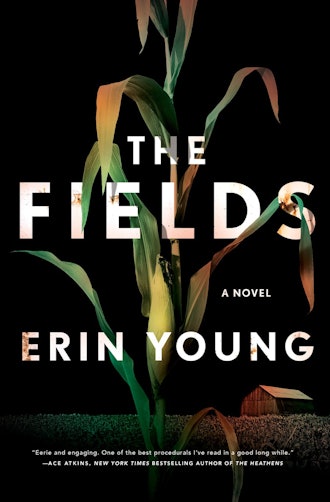 'The Fields' by Erin Young