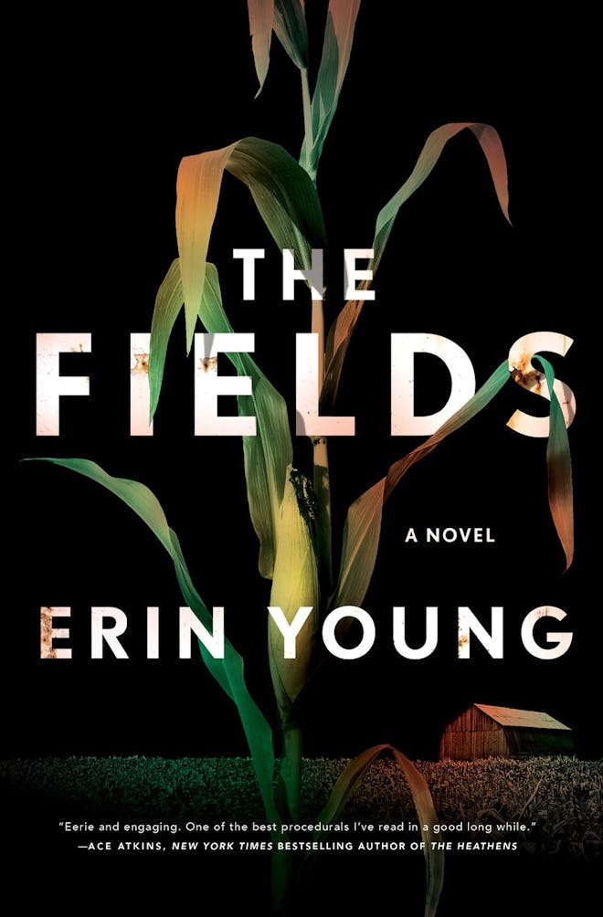 ‘The Fields’ by Erin Young