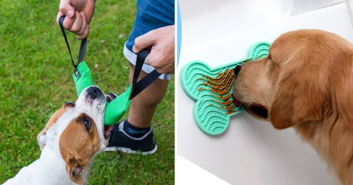 31 Weird Things On Amazon That Dog Trainers Say Are Totally Genius