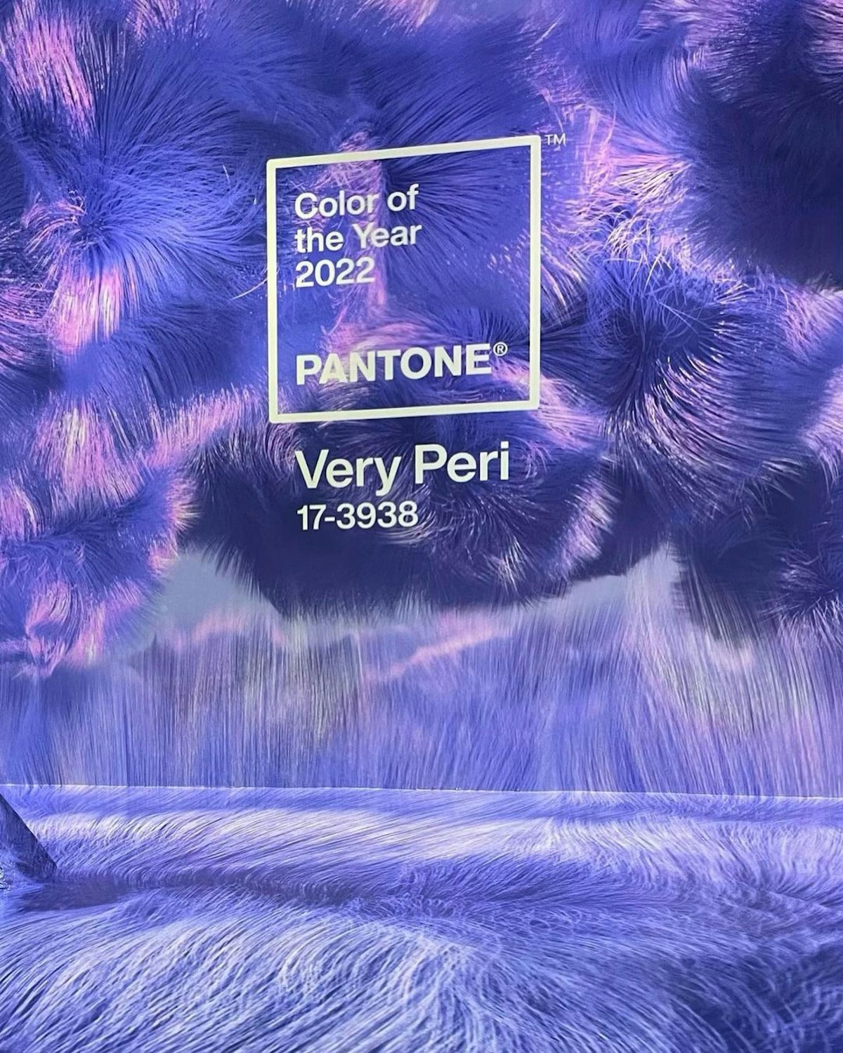 The Pantone color of the year 2022 is Very Peri. Here, the best Very Peri makeup, hair color, nail p...