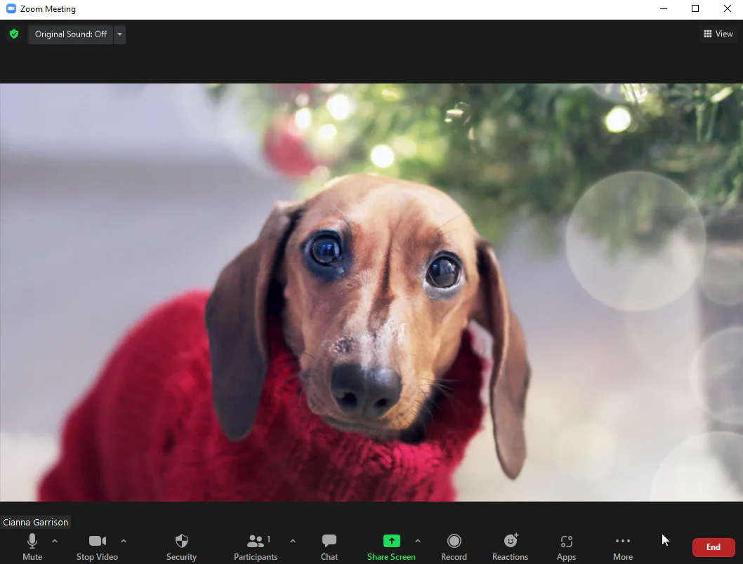 Holiday Zoom Backgrounds That Will Add Cheer To Every Video Call