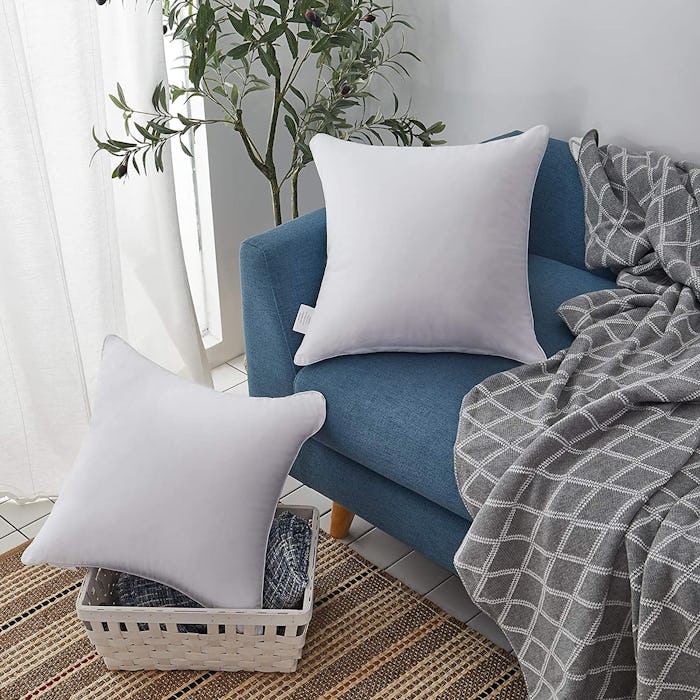  Oubonun 18 x 18 Pillow Inserts (Set of 2)