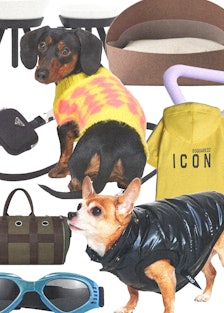 a collage of dogs wearing jackets and other assorted pet items