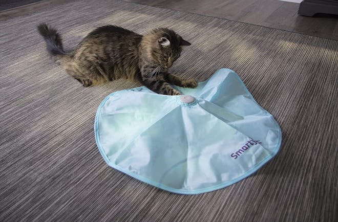 SmartyKat Hot Pursuit Cat Toy