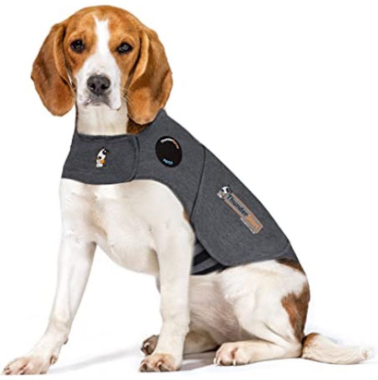 Thundershirt Dog Anxiety Treatment