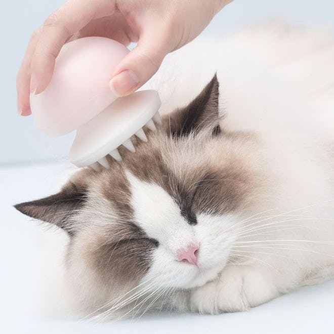 Jellyfish Brush Massager For Cats