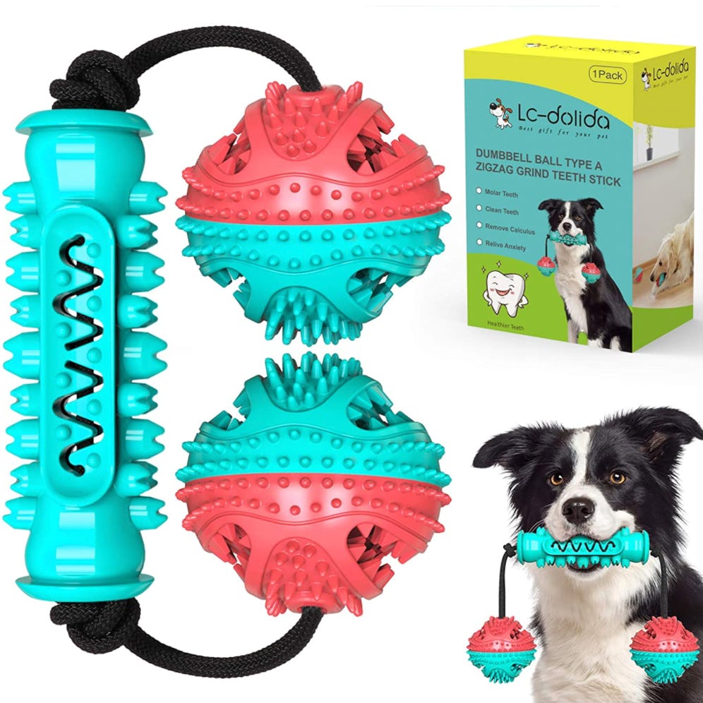 The 9 Best Toothbrush Toys For Dogs