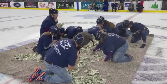 South Dakota teachers scramble on their hands and knees to grab $1 bills during intermission at an i...