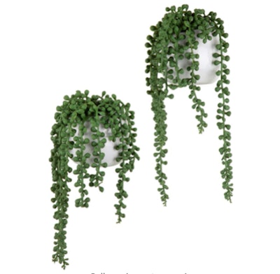 MyGift Artificial String of Pearls Plants (Set of 2)