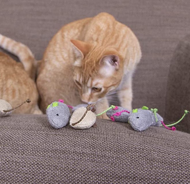 SmartyKat Skitter Critters Catnip Mice (10-Pack)