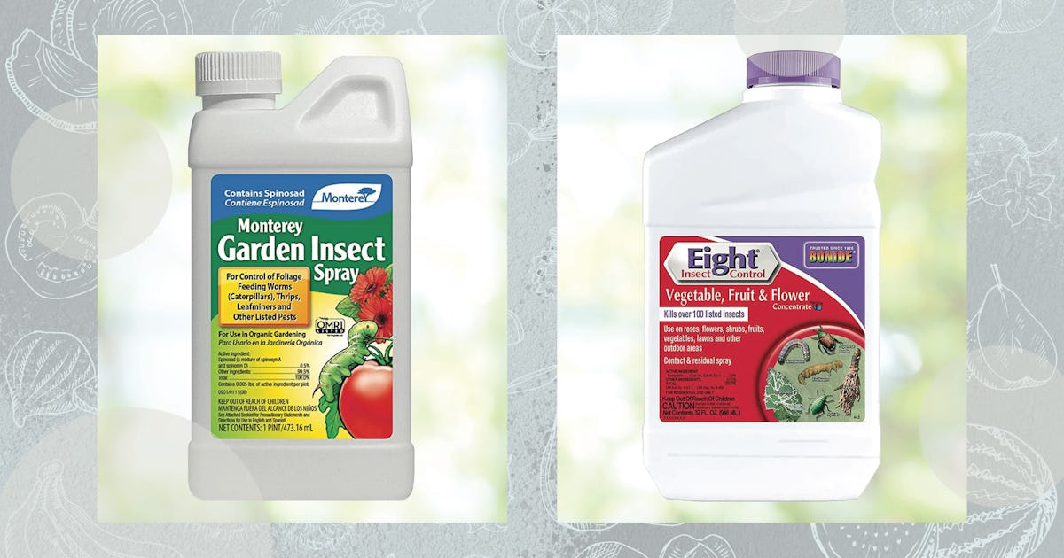 The 4 Best Insecticides For Your Vegetable Garden