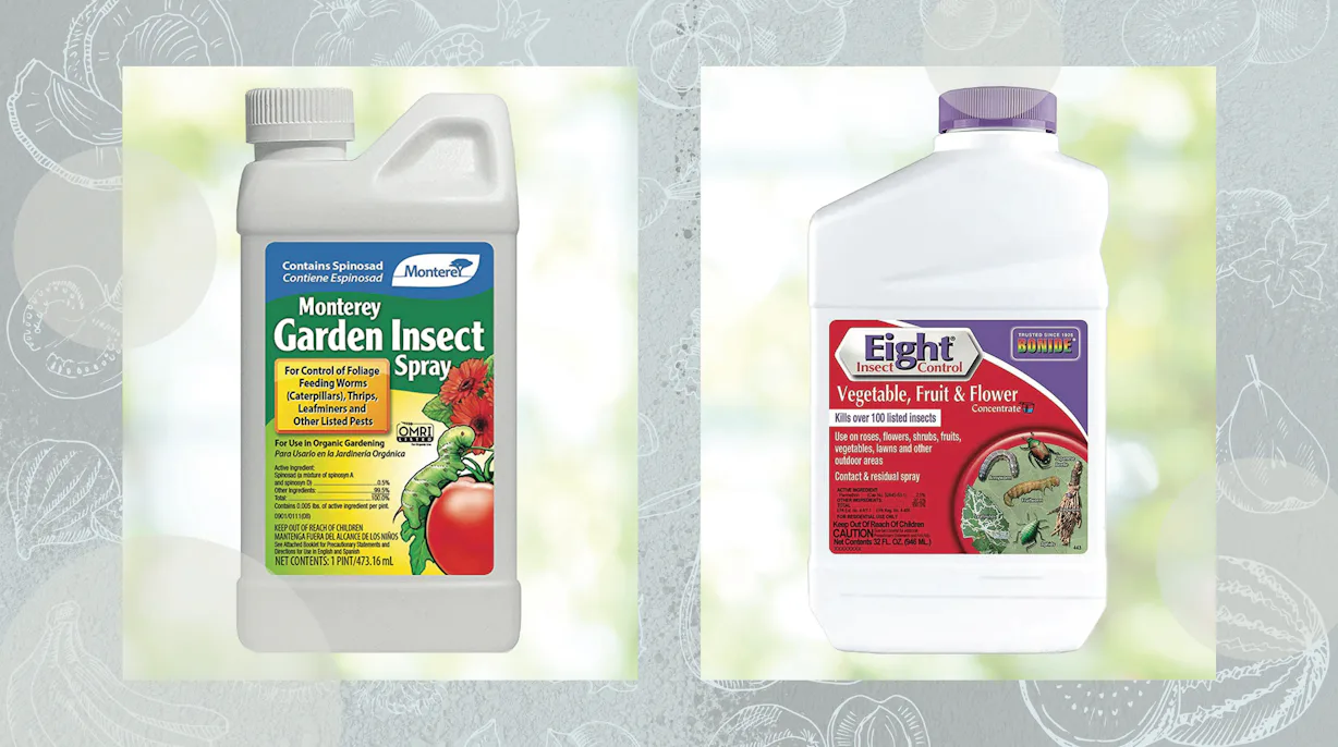 The 4 Best Insecticides For Your Vegetable Garden