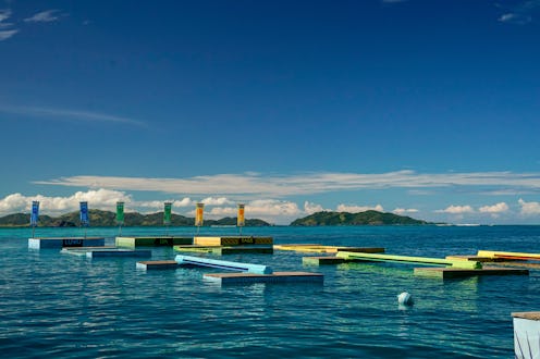 A image of the Immunity Challenge on SURVIVOR Season 42, which involves colorful apparatus set up on...