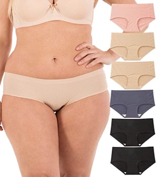 Barbra Lingerie Underwear (6-Pack) 