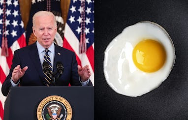 Diptych: Joe Biden and fried egg.