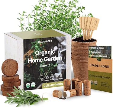 Fork Store Herb Garden Starter Kit 