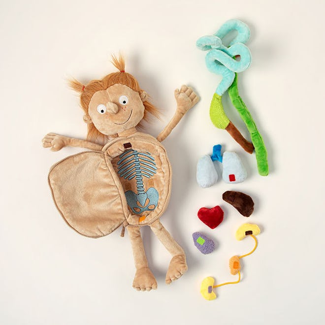 plush dolls with organs are a good imaginative toy