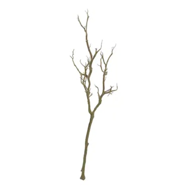 A bare branch can be used as dark cottagecore home decor.