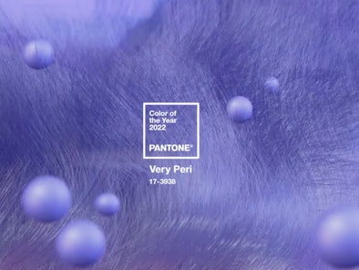 Very Peri, Pantone's 2022 color of the year, will inspire your home decor.