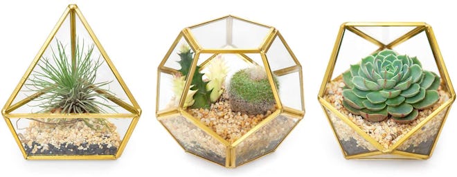 Mkono Mini Glass Geometric Terrarium Container (Set of 3) 