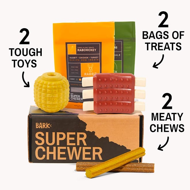 Super Chewer by BarkBox Monthly Subscription