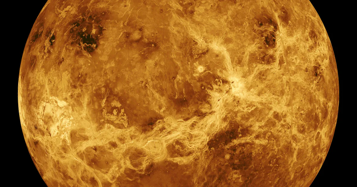 ¿Es habitable la flor? Un nuevo estudio alimenta el debate en curso ¿Es habitable la flor? Un nuevo estudio alimenta el debate en curso