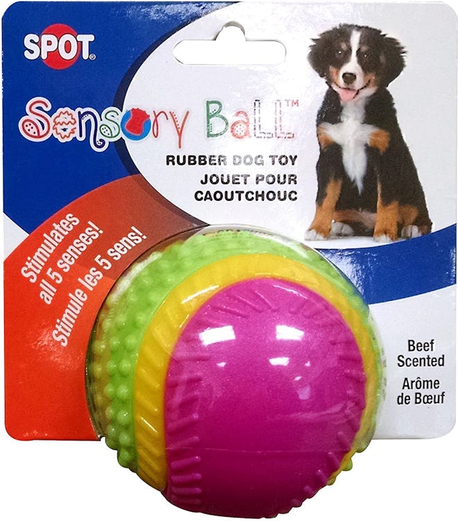 Ethical Pets Sensory Ball