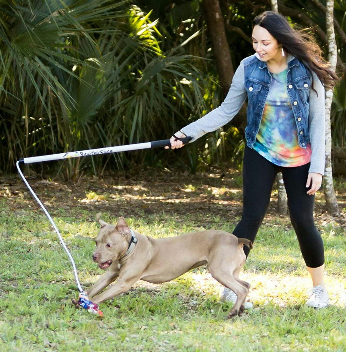 Squishy Face Studio Flirt Pole